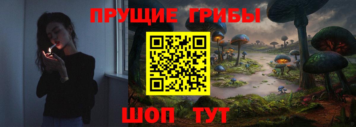 Люберцы  Псилоцибиновые грибы прущие грибы  Вход с VPN 