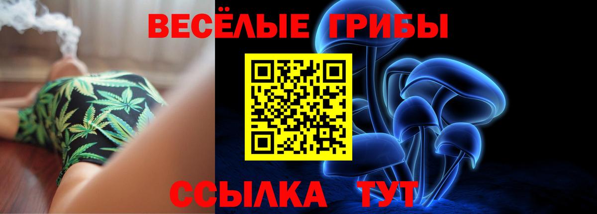 Псилоцибиновые грибы мицелий Люберцы